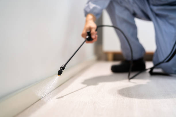 Rodent Entry Point Assessment in Pine Hills
