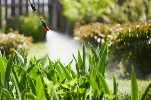 Tamper-Resistant Bait Stations for Rodents in Pine Hills