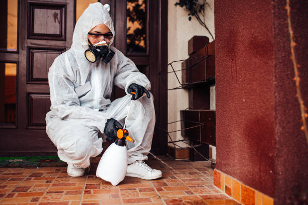 Attic and Crawl Space Rodent Treatment in Pine Hills