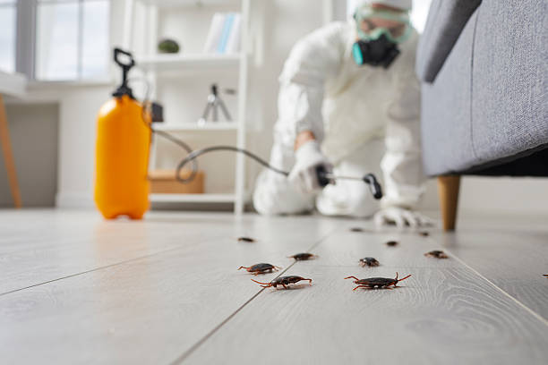 Commercial Rodent Management in Pine Hills